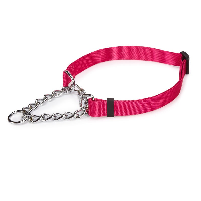 Guardian Gear Adjustable Martingale Choke-Style Dog Collar, 16-24 Inch - Image 1